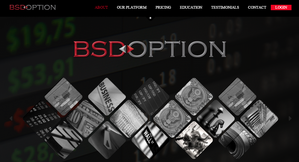 BSD Option Website Screenshot